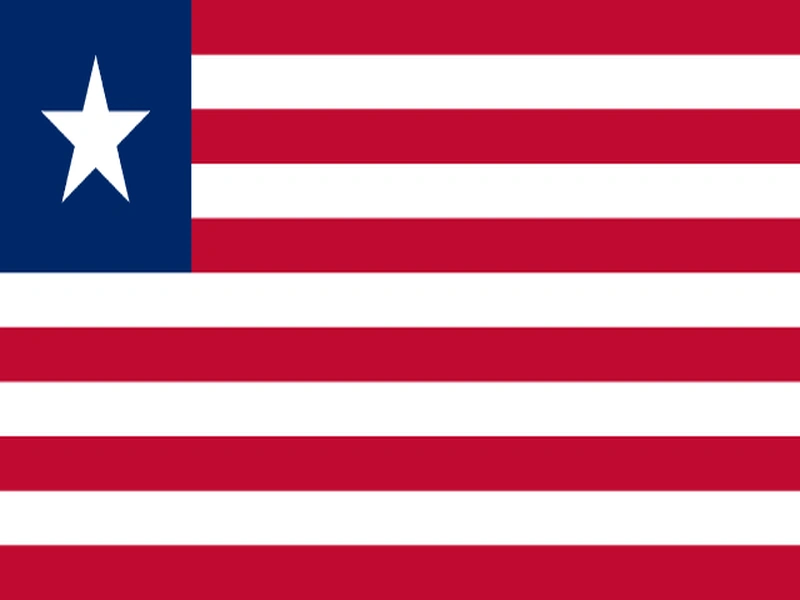 Flag of International