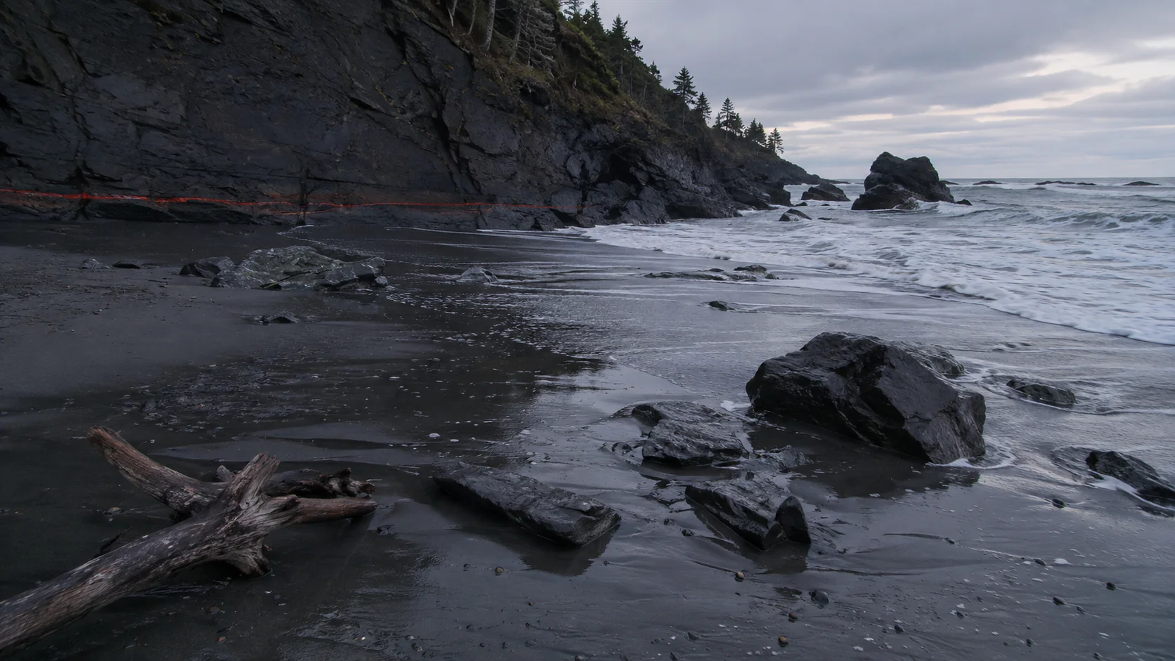 Black sand cliff red tape driftwood
